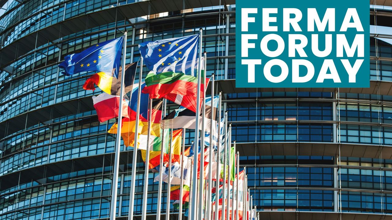 FERMA comments on new EU AI Act Captive International